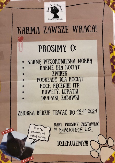 „Karma wraca” – akcja wsparcia schroniska dla kotów